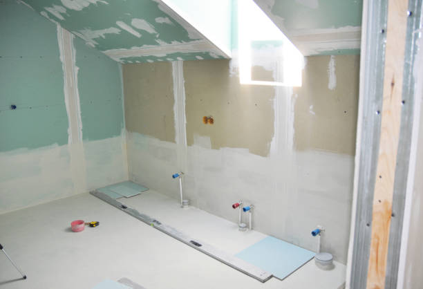 Best Industrial Mold Remediation  in Branson, MO