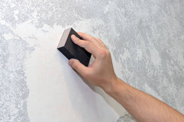 Best HVAC Mold Inspection and Cleaning  in Branson, MO